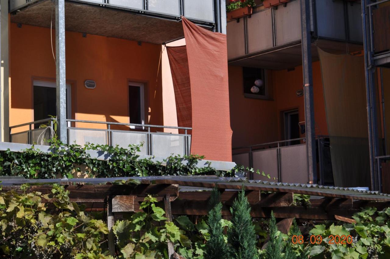 Pension Di Pino アウエ エクステリア 写真